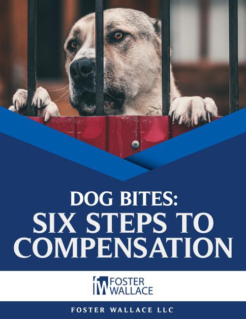 Dog Bites: 6 Steps to Getting Compensation