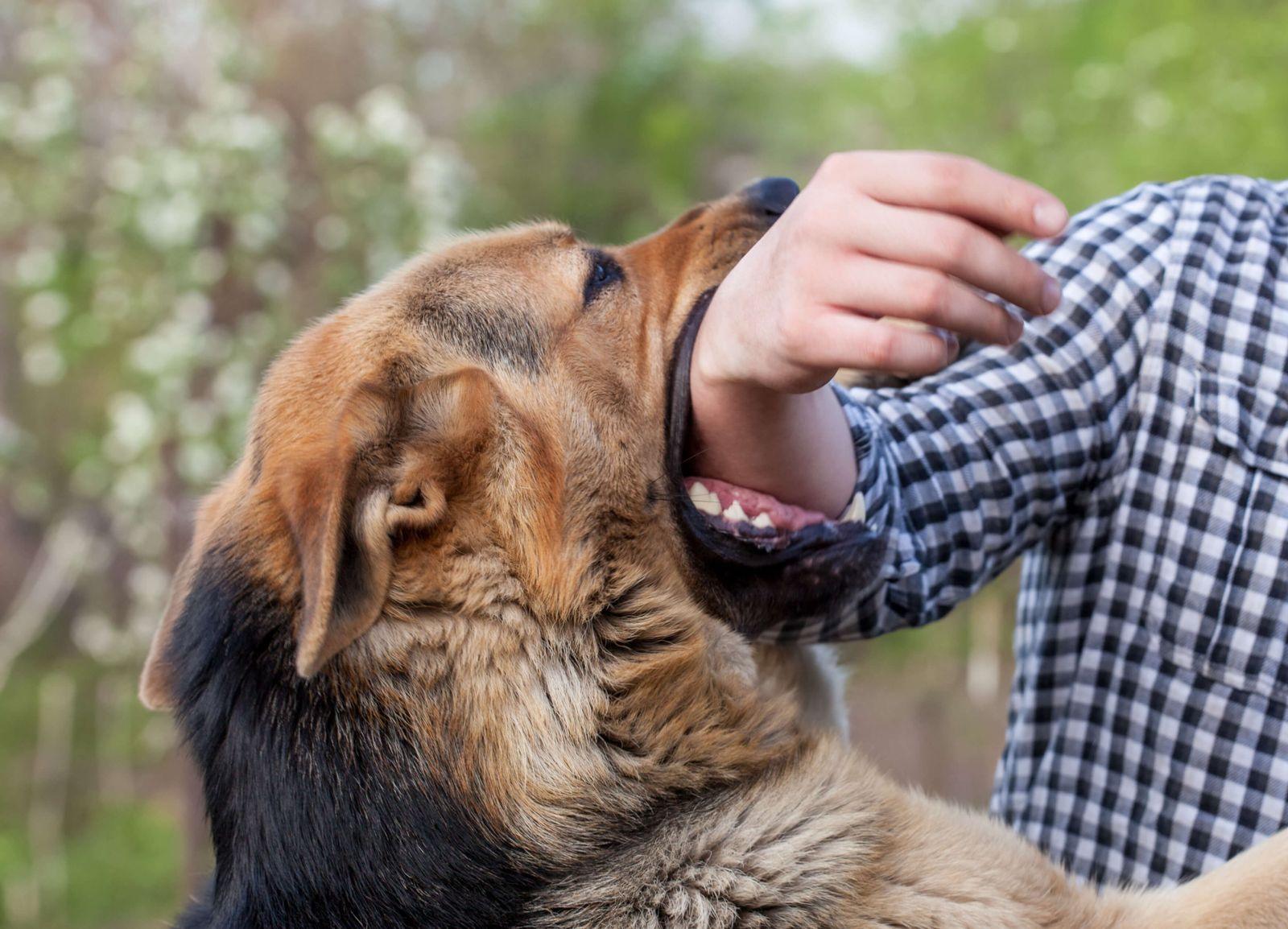 What is the Average Settlement for Dog Bite Injury in Kansas City?
