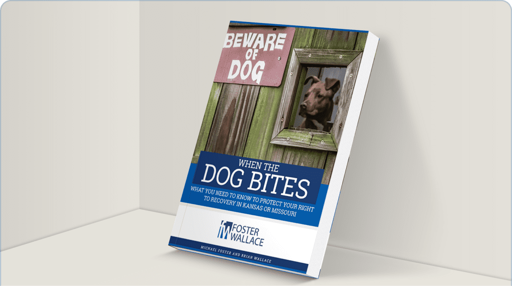 Foster Wallace - When the Dog Bites