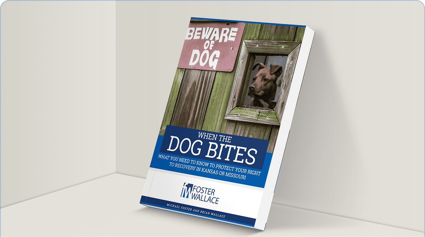 Foster Wallace - When the Dog Bites