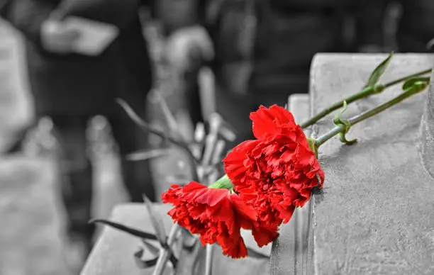 wrongfull-death image