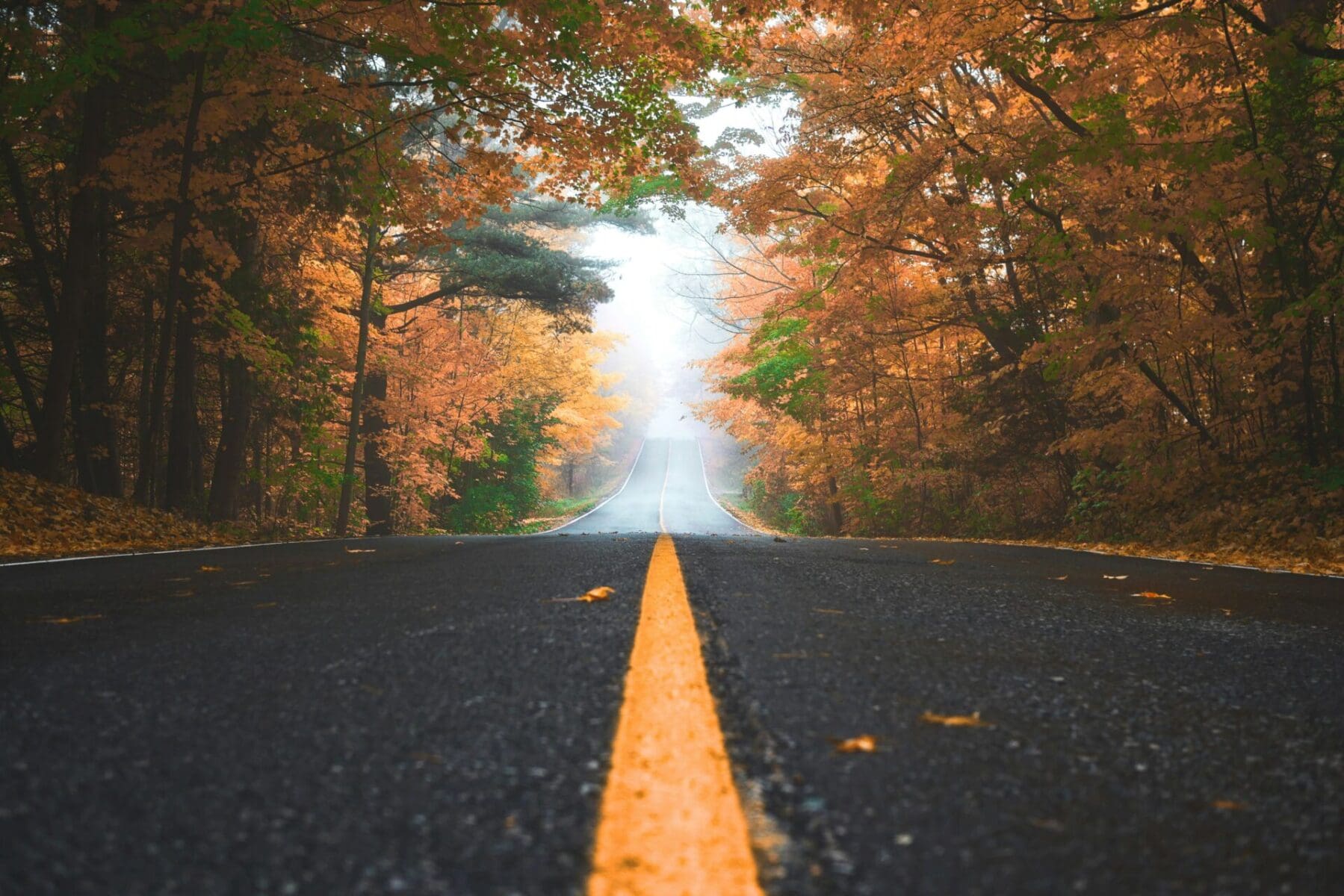 Fall Roads